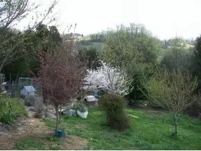 4110 Babbs Mill Road Greeneville Tn 37745, Greeneville, TN 37745 photo 16