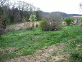 4110 Babbs Mill Road Greeneville Tn 37745, Greeneville, TN 37745 photo 15