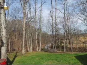 295 Tweed Road Limestone Tn 37681, Limestone, TN 37681 photo 22