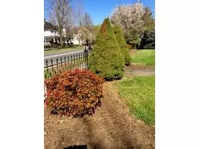 423 Love Street Erwin Tn 37650, Erwin, TN 37650 photo 8