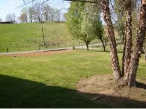 208 Melody Lane Fall Branch Tn 37656, Fall Branch, TN 37656 photo 18