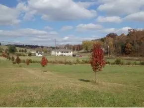 800 Swanay Road Limestone Tn 37681, Limestone, TN 37681 photo 3