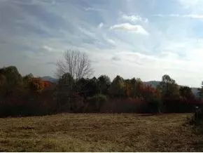 6930 Chestnut Ridge Road Eidson Tn 37731, Eidson, TN 37731 photo 18