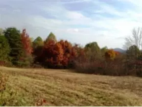6930 Chestnut Ridge Road Eidson Tn 37731, Eidson, TN 37731 photo 17