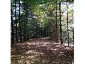 6930 Chestnut Ridge Road Eidson Tn 37731, Eidson, TN 37731 photo 16