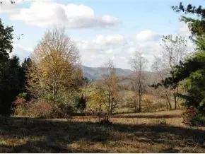 6930 Chestnut Ridge Road Eidson Tn 37731, Eidson, TN 37731 photo 14