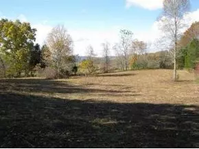 6930 Chestnut Ridge Road Eidson Tn 37731, Eidson, TN 37731 photo 15