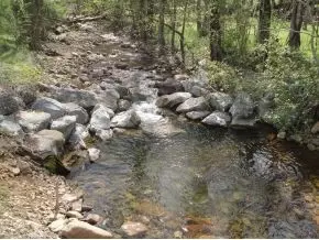 158 Ted Brown Road Chuckey Tn 37641, Chuckey, TN 37641 photo 18