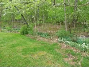 2124 Baileyton Road Greeneville Tn 37745, Greeneville, TN 37745 photo 4