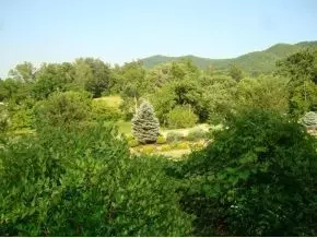 2285 Highway 107 Chuckey Tn 37641, Chuckey, TN 37641 photo 21