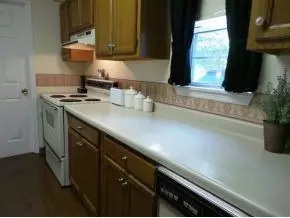 111 Springview Drive Gray Tn 37615, Gray, TN 37615 photo 12