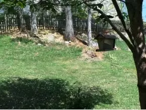 111 Springview Drive Gray Tn 37615, Gray, TN 37615 photo 20