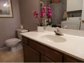 111 Springview Drive Gray Tn 37615, Gray, TN 37615 photo 9