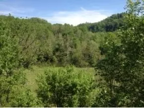 23217 Fork River Road Abingdon Va 24210, Abingdon, VA 24210 photo 21