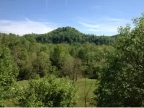 23217 Fork River Road Abingdon Va 24210, Abingdon, VA 24210 photo 22