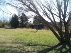 105 Hicks Drive Gray Tn 37615, Gray, TN 37615 photo 14