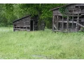 509 Washington College Road Limestone Tn 37681, Limestone, TN 37681 photo 14