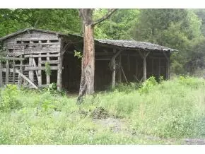 509 Washington College Road Limestone Tn 37681, Limestone, TN 37681 photo 12