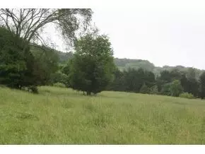 509 Washington College Road Limestone Tn 37681, Limestone, TN 37681 photo 6