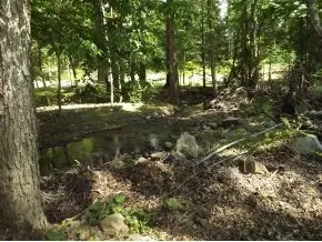 191 Creek Road Erwin Tn 37650, Erwin, TN 37650 photo 11