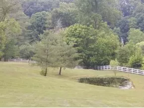 515 Taylor Road Fall Branch Tn 37656, Fall Branch, TN 37656 photo 18