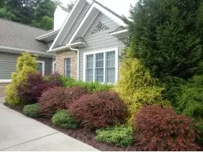 515 Taylor Road Fall Branch Tn 37656, Fall Branch, TN 37656 photo 15