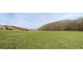 833 Robert Harmon Road Greeneville Tn 37745, Greeneville, TN 37745 photo 9