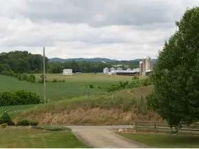 1540 Concord Road Mohawk Tn 37810, Mohawk, TN 37810 photo 3