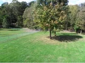 136 Hermosa Drive Fall Branch Tn 37656, Fall Branch, TN 37656 photo 15