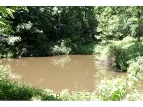 139 Peters Lane Hampton Tn 37658, Hampton, TN 37658 photo 23
