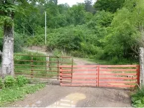 468 Gonce Hollow Road Eidson Tn 37731, Eidson, TN 37731 photo 19