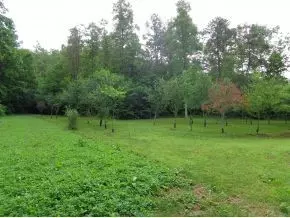 468 Gonce Hollow Road Eidson Tn 37731, Eidson, TN 37731 photo 23