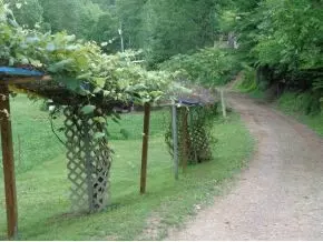 468 Gonce Hollow Road Eidson Tn 37731, Eidson, TN 37731 photo 1