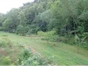 468 Gonce Hollow Road Eidson Tn 37731, Eidson, TN 37731 photo 21