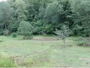 468 Gonce Hollow Road Eidson Tn 37731, Eidson, TN 37731 photo 20