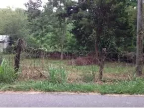 416 Cherry Hill Road Limestone Tn 37681, Limestone, TN 37681 photo 8