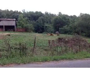 416 Cherry Hill Road Limestone Tn 37681, Limestone, TN 37681 photo 3