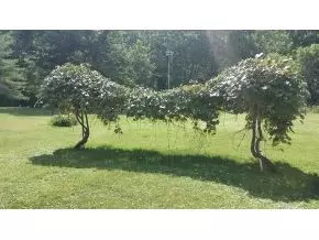 233 Edgewater Drive Cedar Bluff Va 24609, Cedar Bluff, VA 24609 photo 5