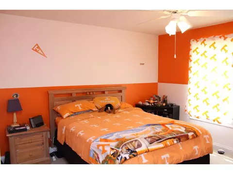 235 Anderson Street Limestone Tn 37681, Limestone, TN 37681 photo 10
