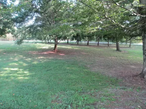 105 Glendale Road Limestone Tn 37681, Limestone, TN 37681 photo 9