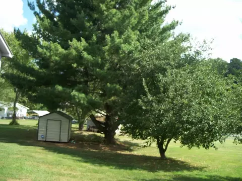 1203 Outer Drive Greeneville Tn 37743, Greeneville, TN 37743 photo 8