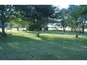 440 Horace Bitner Road Chuckey Tn 37641, Chuckey, TN 37641 photo 13