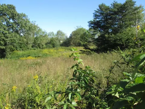 560 Cannon Road Limestone Tn 37681, Limestone, TN 37681 photo 3