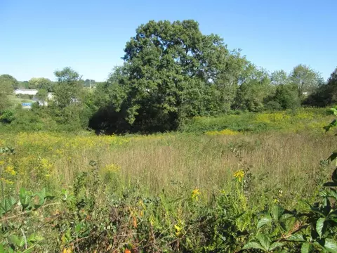 560 Cannon Road Limestone Tn 37681, Limestone, TN 37681 photo 5