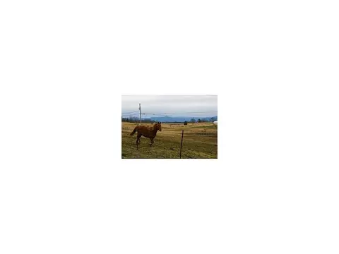 245 Barren Road Chuckey Tn 37641, Chuckey, TN 37641 photo 9