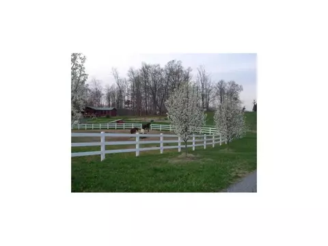 123 Glendale Road Limestone Tn 37681, Limestone, TN 37681 photo 10