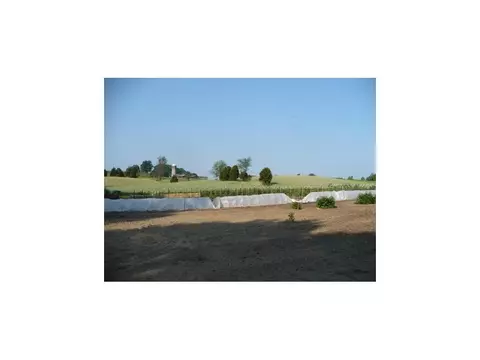 123 Glendale Road Limestone Tn 37681, Limestone, TN 37681 photo 17