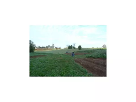 123 Glendale Road Limestone Tn 37681, Limestone, TN 37681 photo 18