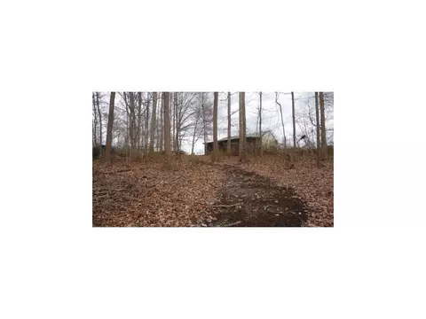 123 Glendale Road Limestone Tn 37681, Limestone, TN 37681 photo 5
