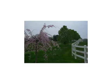 123 Glendale Road Limestone Tn 37681, Limestone, TN 37681 photo 11
